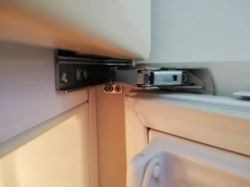 Uszkodzony zawias w lodówce Amica - naprawiaj, nie wyrzucaj