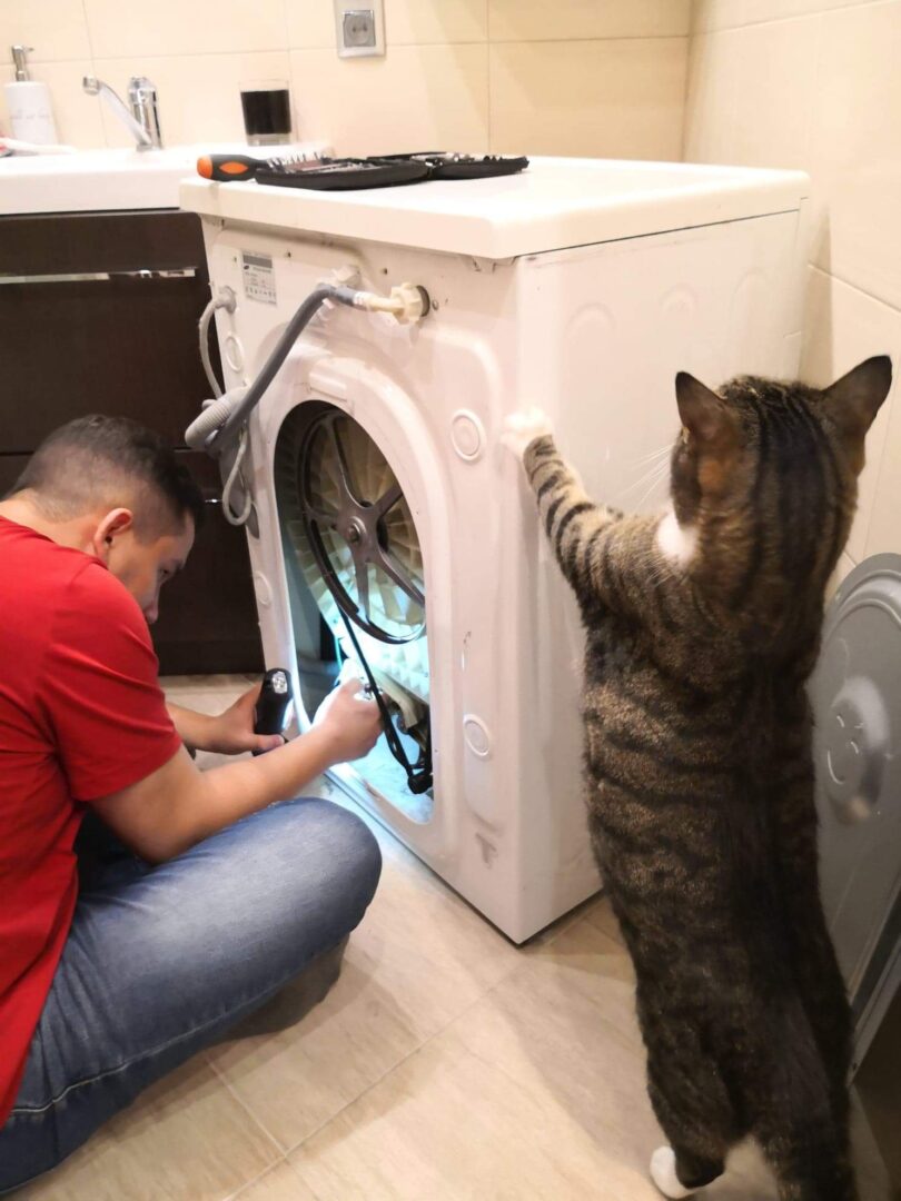 Samodzielna wymiana grzałki w pralce z pomocą kota?