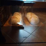 Wymiana dolnej grzałki i żarówki w piekarniku Amica - chleb wypiekany w piekarniku