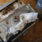 Mocowanie grzałki dolnej w piekarniku Ikea