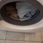 Wymiana uszkodzonego fartucha w pralce