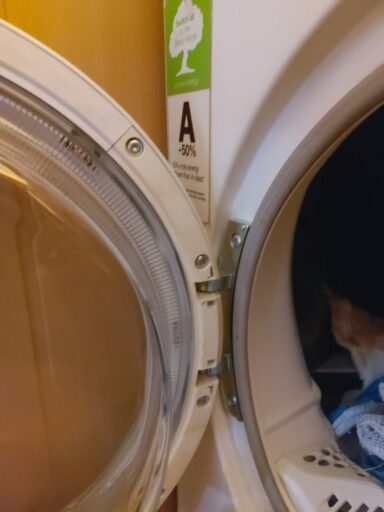 Wymiana zawiasu w suszarce Electrolux i uchwytu w zmywarce Brandt - naprawiaj, nie wyrzucaj