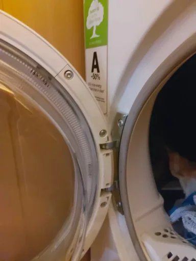 Wymiana zawiasu w suszarce Electrolux i uchwytu w zmywarce Brandt - naprawiaj, nie wyrzucaj