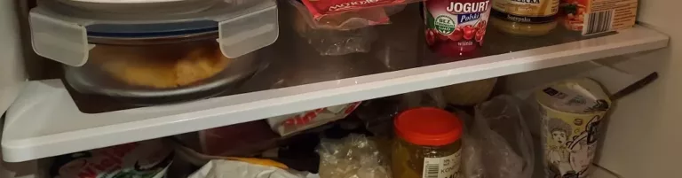Wymiana ramek w lodówce Indesit