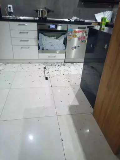 Zbita szyba zewnętrzna w piekarniku Amica Integra EB 81064 A+ - naprawiaj, nie wyrzucaj