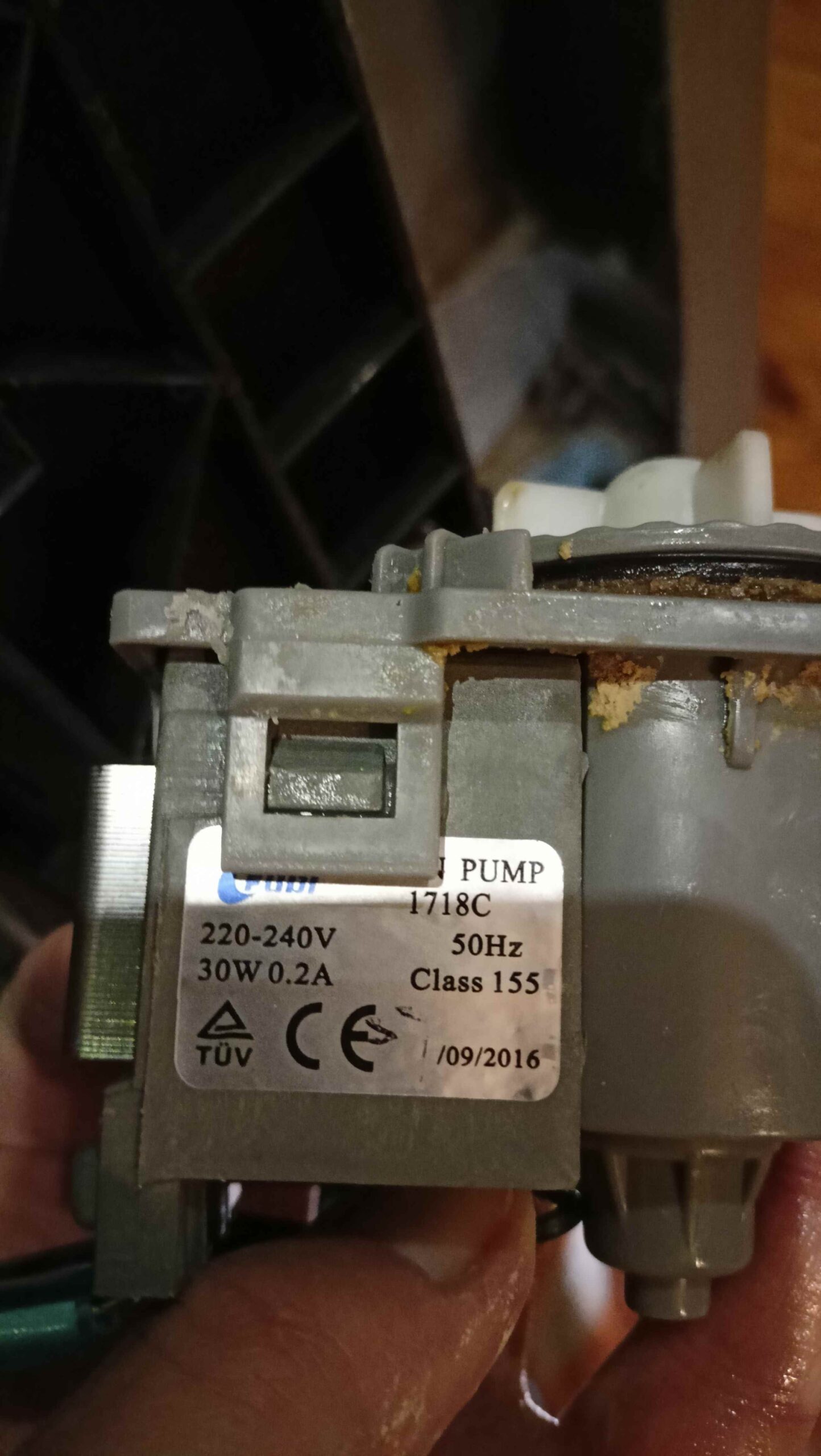 Uszkodzona pompa odpływowa w zmywarce Amica ZWM 628 IED