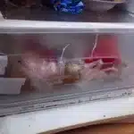Połamany front od szuflady na warzywa w lodówce Indesit TAAN3 - naprawiaj, nie wyrzucaj